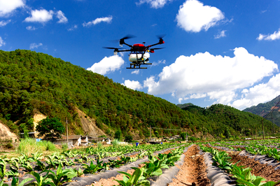 技術推‘新’煙田增‘綠’ 科技賦能煙草農業可持續發展